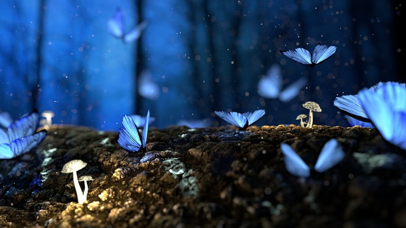 Magical Forest Backdrop
